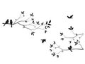 Beautiful tree branch with birds silhouette background for wallpaper sticker