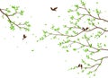 Beautiful tree branch with birds silhouette background for wallpaper sticker