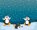 The beautiful view with three penguin playing on the snow Royalty Free Stock Photo