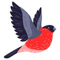 Illustration of beautiful winter bird bullfinch. Seasonal image.