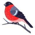 Illustration of beautiful winter bird bullfinch. Seasonal image.