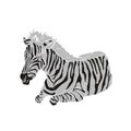 Illustration: Beautiful zebra image, and very good picture