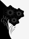 Illustration of beauty black and white floral background with a bouquet of flowers.