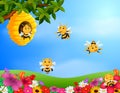 Bee flying around a beehive in the garden Royalty Free Stock Photo