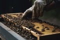 illustration, beekeeper working,generative ai