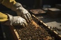 illustration, beekeeper working,generative ai