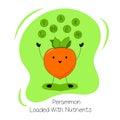 Illustration about the Benefits of Persimmon. Persimmon Loaded with Nutrients. Kawaii style. Flat Design