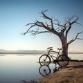 Illustration of a bicycle on an empty lake in winter