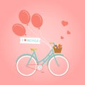 Illustration with bike and flowers Royalty Free Stock Photo