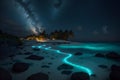 An illustration of the Bioluminescence shore in Maldives