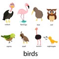 Illustration of bird cartoon Royalty Free Stock Photo