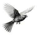 Eerily Realistic Black And White Finch Flying Illustration