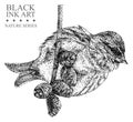 Illustration with bird redpoll drawn by hand with black ink