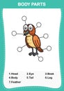 Bird vocabulary part of body,Write the correct numbers of body parts