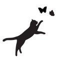 Cat plays with flying butterflies on a white background