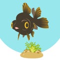 Funny cartoon black moor goldfish with aquatic plants.