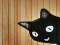 Illustration on Black Smiling Cat on Wooden Plank Wall