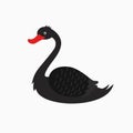 Illustration of a black swan Royalty Free Stock Photo