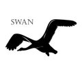 Illustration of black swan logo silhouette. Royalty Free Stock Photo