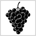 Illustration of a black and white bunch of grapes with a stem and a subtle white highlight Royalty Free Stock Photo