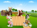Blank sign and happy farm animals Royalty Free Stock Photo