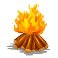 Blazing bonfire inferno fire on wood for outdoor camping or Lohri celebration