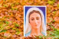 Illustration of Blessed Virgin Mary on carpet of leaves Royalty Free Stock Photo