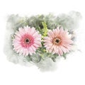 Illustration of blossom gerbera