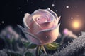 Illustration of blossom pink rose flower covered with snow, snow fall, Royalty Free Stock Photo