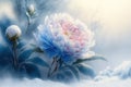 Illustration of blossom pink rose flower covered with snow, snow fall, Royalty Free Stock Photo