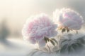 Illustration of blossom pink rose flower covered with snow, snow fall, Royalty Free Stock Photo