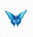 illustration of a blue butterfly, white background. Royalty Free Stock Photo