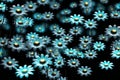 Blue daisies on a black background