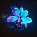 Illustration of a blue orchid on a dark background, digitally rendered generative AI