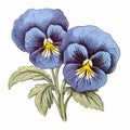 Vintage Blue Pansy Flower Hand Drawn Illustration Royalty Free Stock Photo