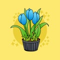 Illustration of Blue Tulips in Flower Pot, Flat Design