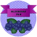 Illustration of blueberry jam stickers