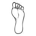 Illustration of body part, plant or sole of right foot, art line Royalty Free Stock Photo