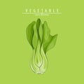 Green bok choy