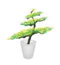 Illustration of Bonsai Tree in A Flower Pot