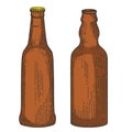 Illustration of bottles of beer in engraving style. Design element for logo, label, emblem, sign. Royalty Free Stock Photo