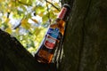 Illustration bottles of non alcoholic beer in nature of a tree