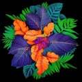 illustration of a bouquet of exotic purple, blue and orange leaves on a black background