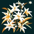 Illustration of a bouquet of lilies on a dark background Generative AI