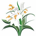 Illustration of a bouquet of lilies on a white background Generative AI Royalty Free Stock Photo