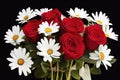 illustration of a bouquet of red roses and white daisies on a black background Royalty Free Stock Photo