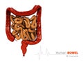 Illustration of Bowels abstract scientific background