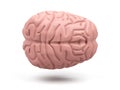 Illustration of the brain isolated on white. 3d rendering Royalty Free Stock Photo