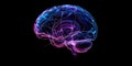 Illustration of a brain with neural pathways symbolizing cognitive abilities, brain health, and Royalty Free Stock Photo