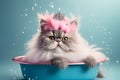 illustration of breedly cat with crown laying in the bath. grooming animal concept